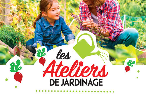 Atelier de jardinage aux jardins familiaux de Villepinte (93) d'avril à juin 2019